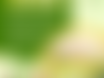 【一年之計在於春】