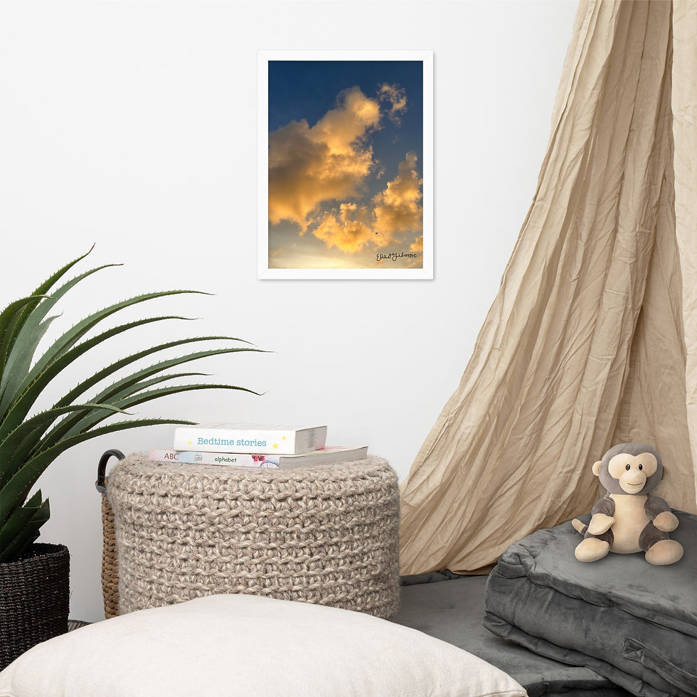 Thumbnail: "Fly High"  Framed poster