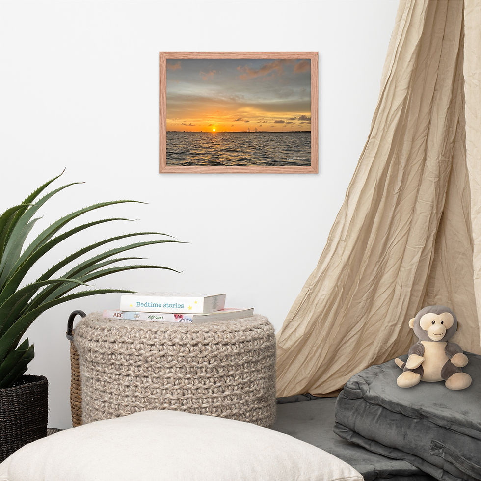 Thumbnail: "On The Water" Framed poster