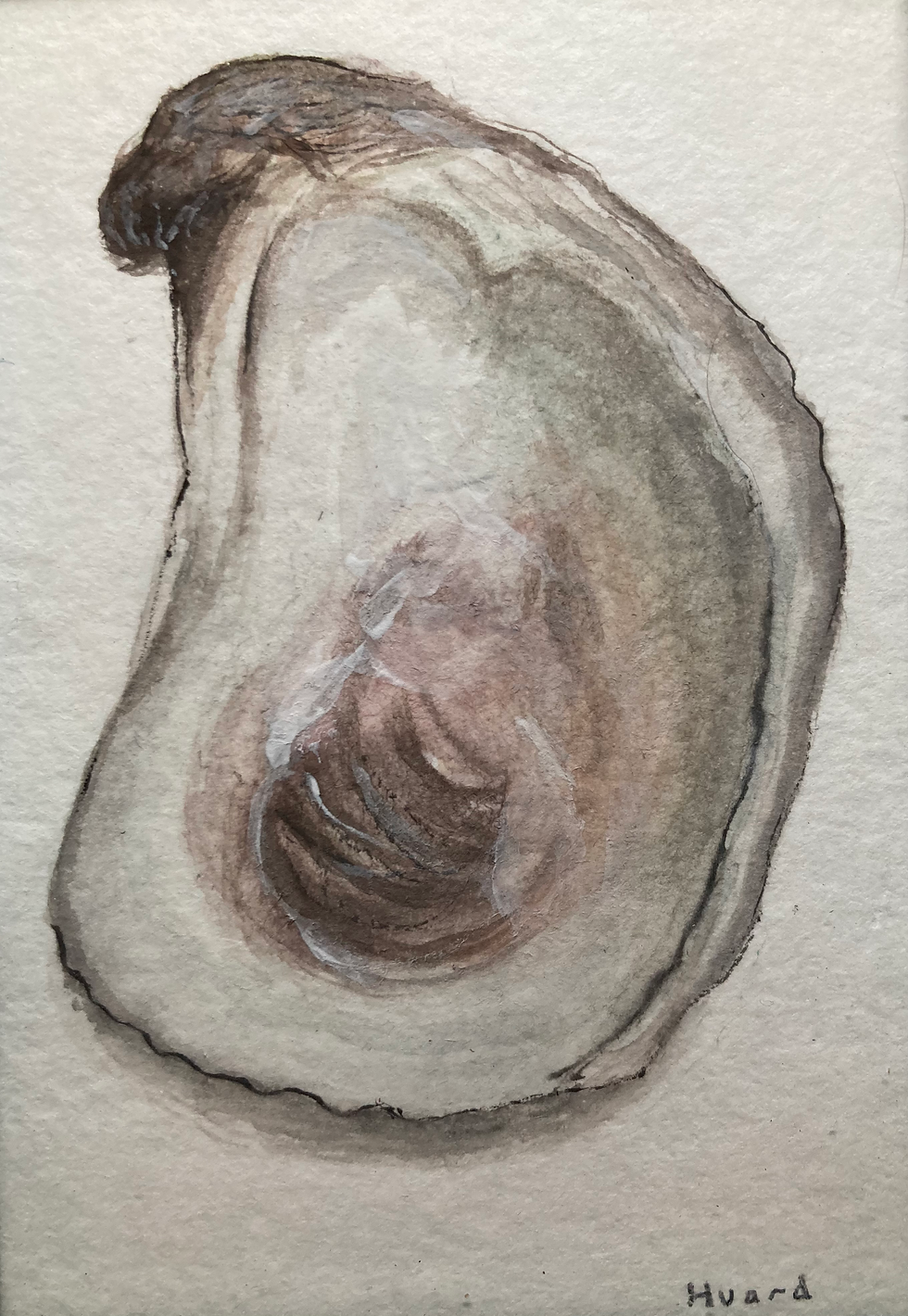 "The Oyster" Watercolor