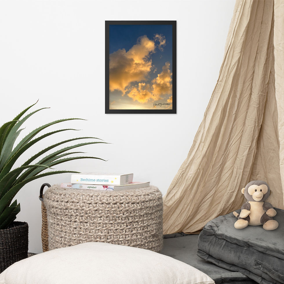Thumbnail: "Fly High"  Framed poster