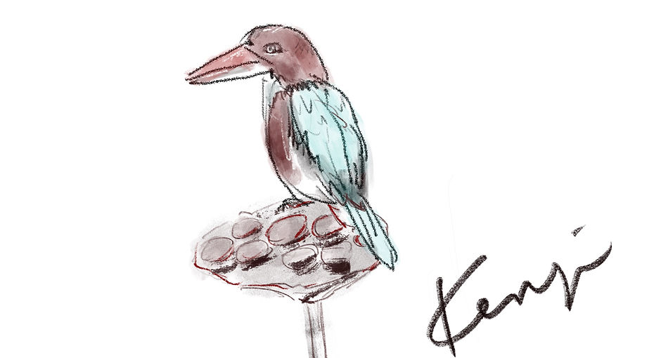 drawinglesson