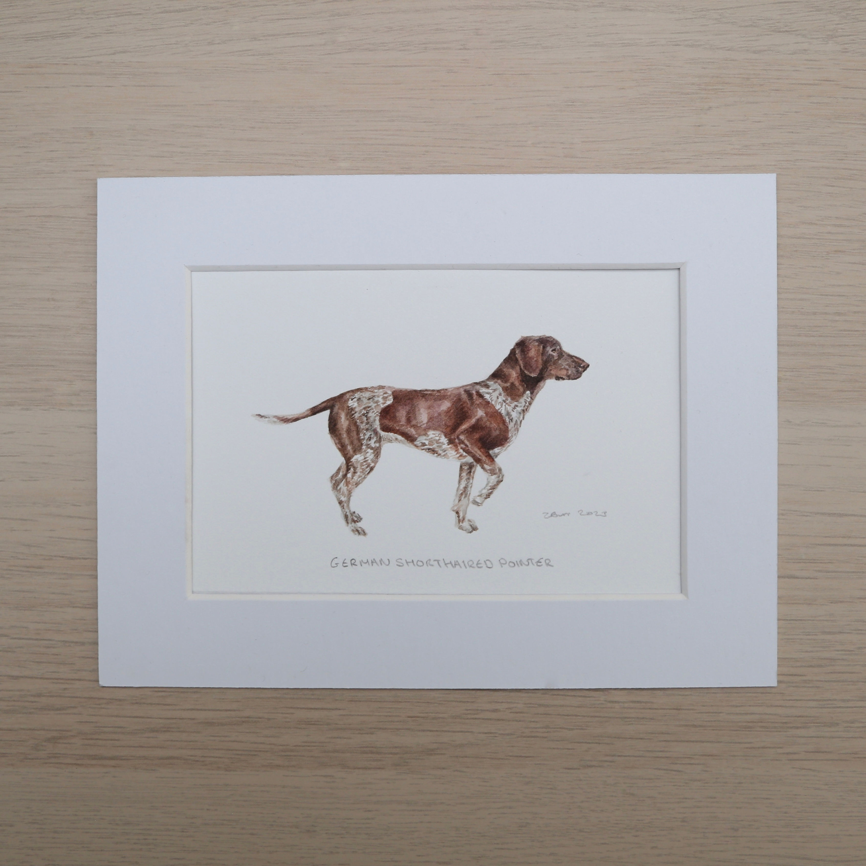 German Shorthaired Pointer Original Watercolour Painting