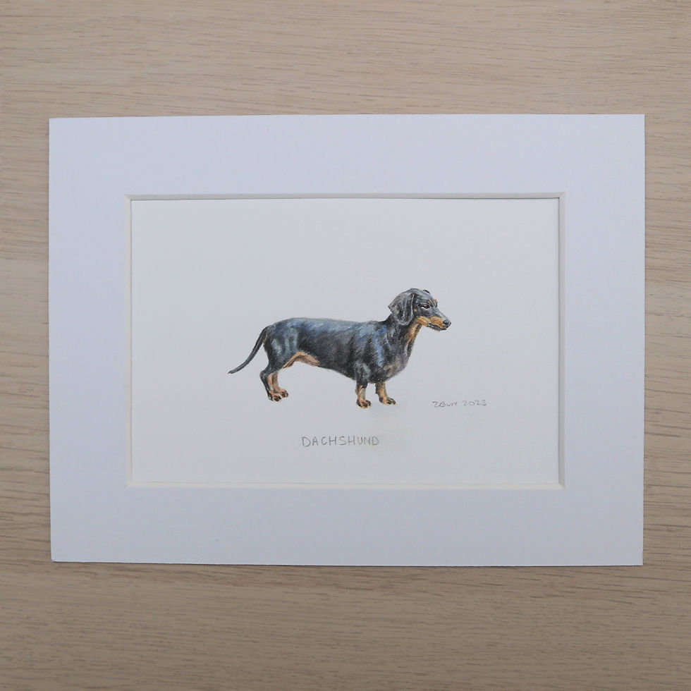 Dachshund Original Watercolour Painting