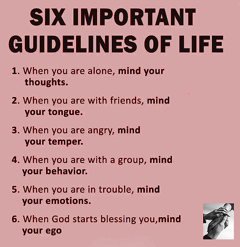 6 guidlines.png