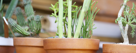 Pots