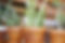 Plant Pots