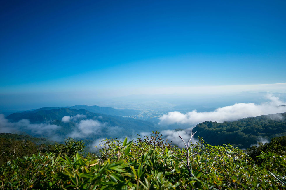 AdobeStock_449124040 (1).jpeg
