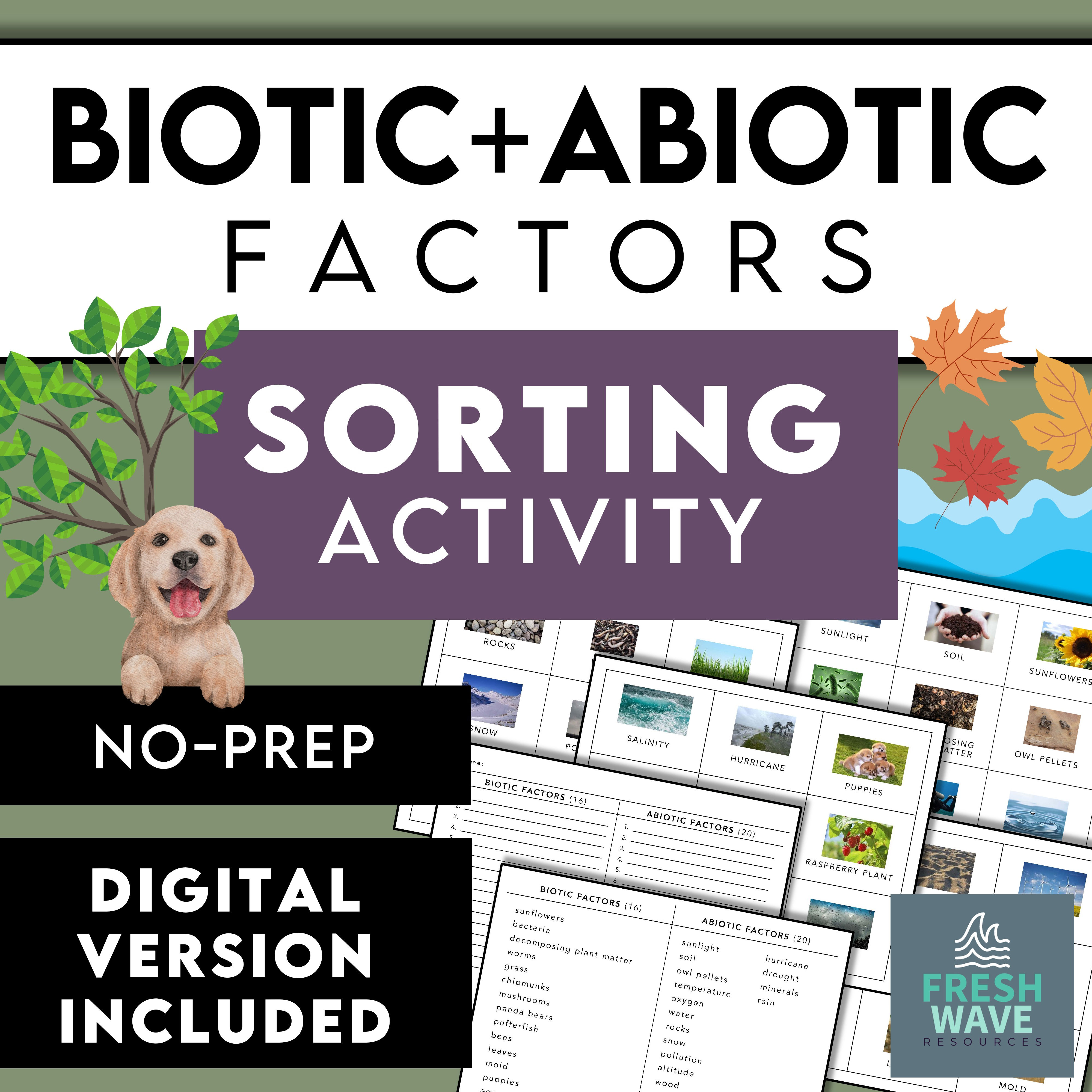 Biotic and Abiotic Sort Cards Sorting Activity