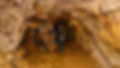 0156193_xl.jpg