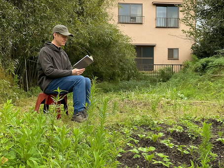 10/11/25 — The Garden Untended (Journal Entry Dissection: #Reason #Limits #Balance)