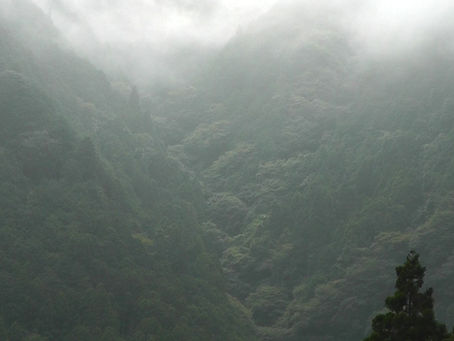 A canyon I will never explore 私はここに行くことはありません – Walking in Japan 日本でのウォーキング