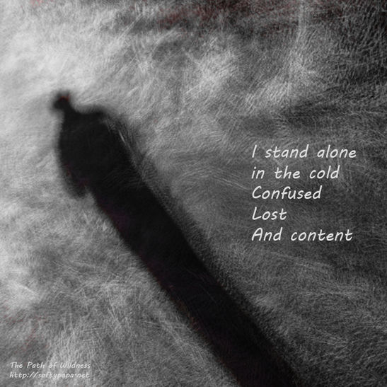 Standing alone in the cold - The Path of Wildness