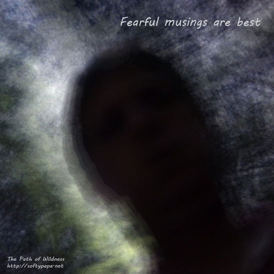 Fearful musing are best - The Path of Wildness