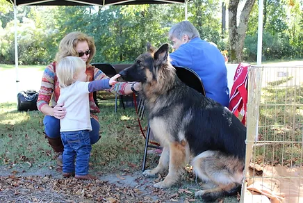 gallant hearts guide dog center