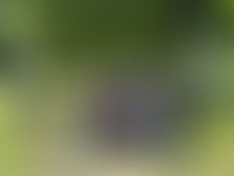 Von Weinsteig nach Karnabrunn