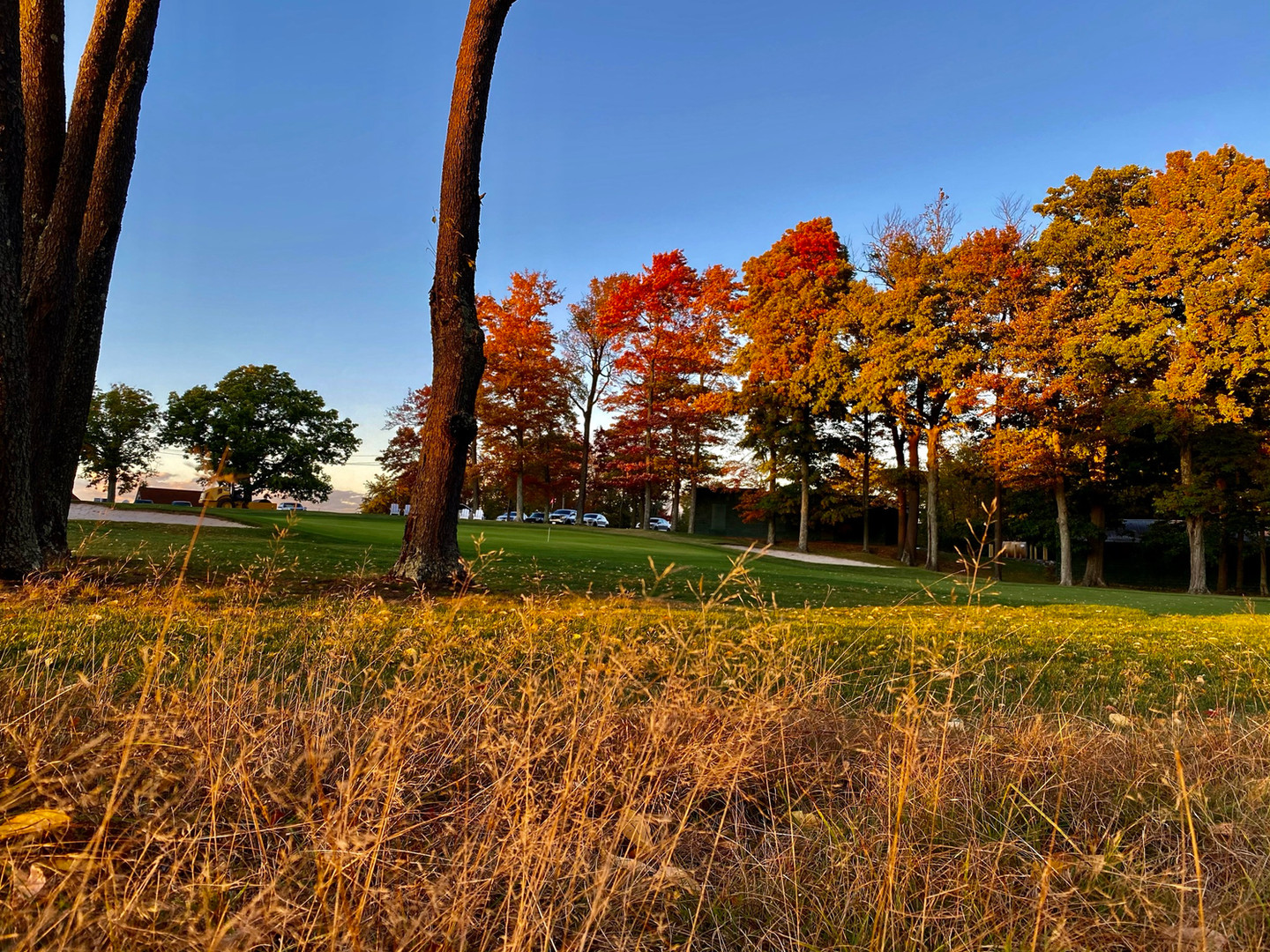 Country Club | Elmhurst Country Club | United States