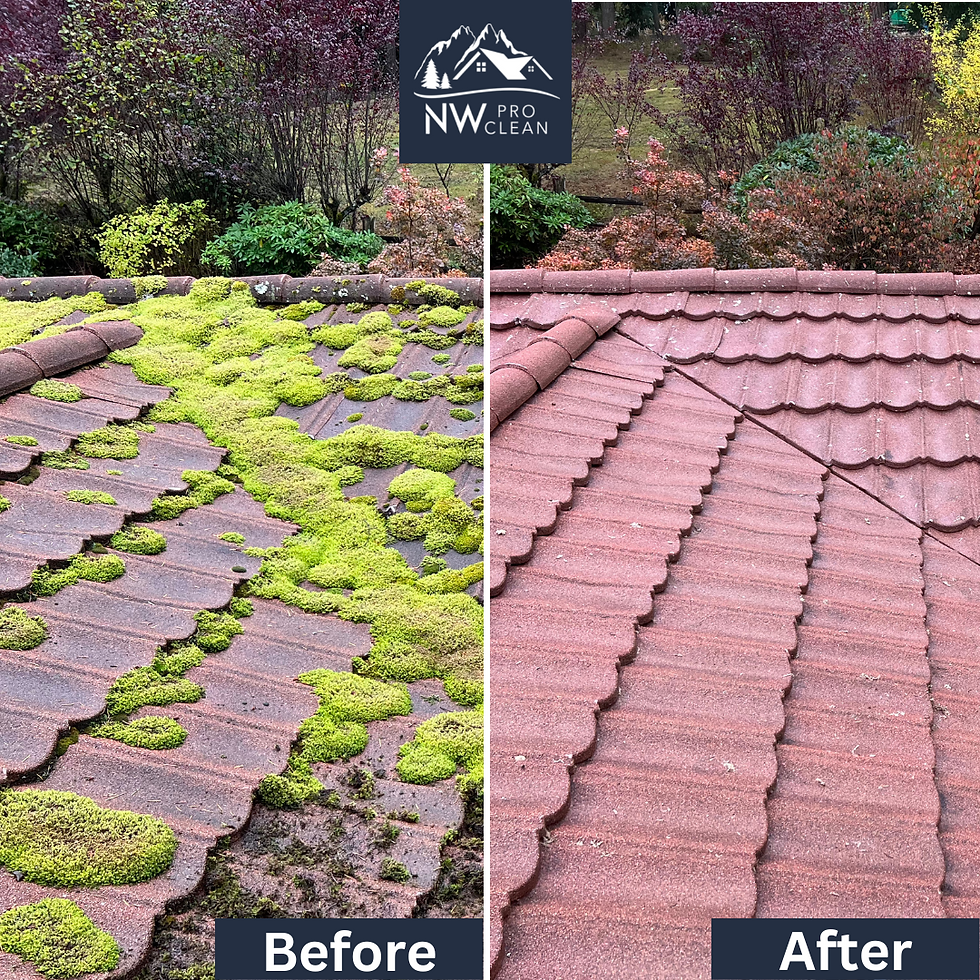 roof moss removal north bend washington