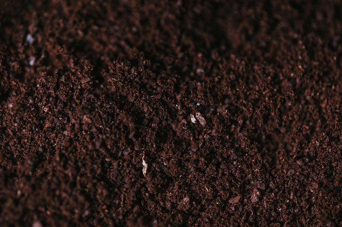 aaron-ghena-TOyb9z2IVPQ-unsplash.jpg