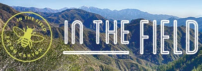 In the Field with the Natural History Museum - Los Angeles