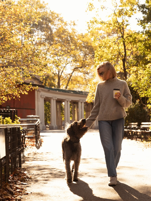 Fine art portrait of a stylish Upper East Side dog owner with her poodle photographed in NYC