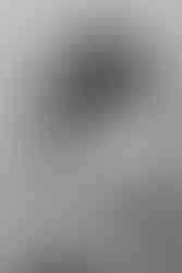 maternity photo posing ideas in NYC photography studio