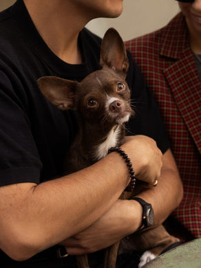 NYC dog dad portrait taken during a Chic & Pup luxury dog photography session