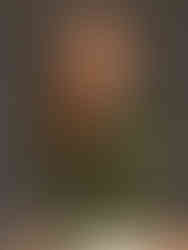 Executive LinkedIn headshot in color created by Alice Prenat at a top executive headshots NYC studio