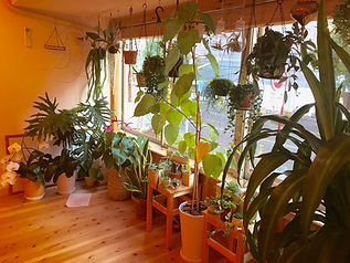 image1 (4).jpg