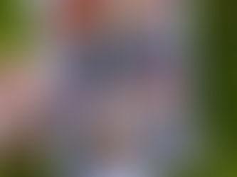 Larne ‘Collage’ Art