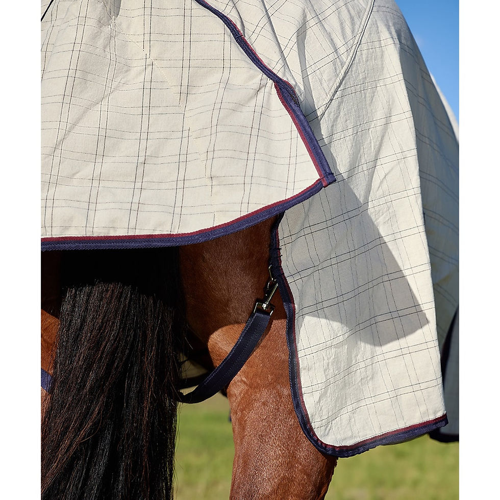 Thumbnail: Weatherbeeta Cotton Summer Sheet Standard Neck