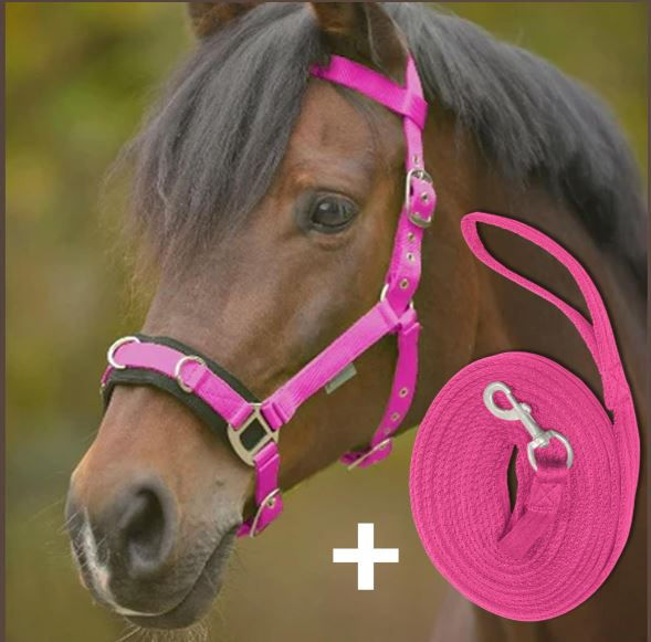 Lunging System NZ Market Harborough Horse