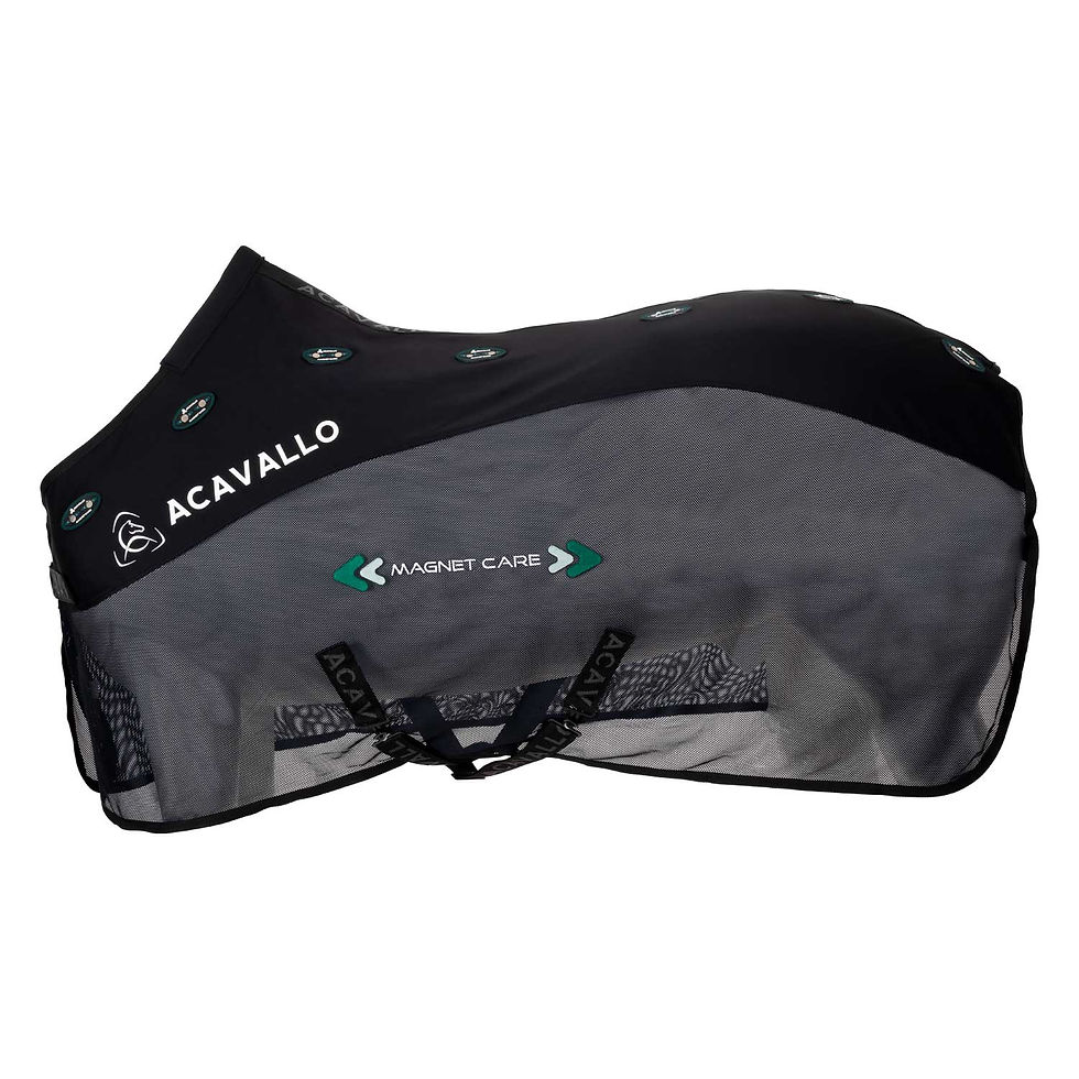 Acavallo Magnet Care Rug