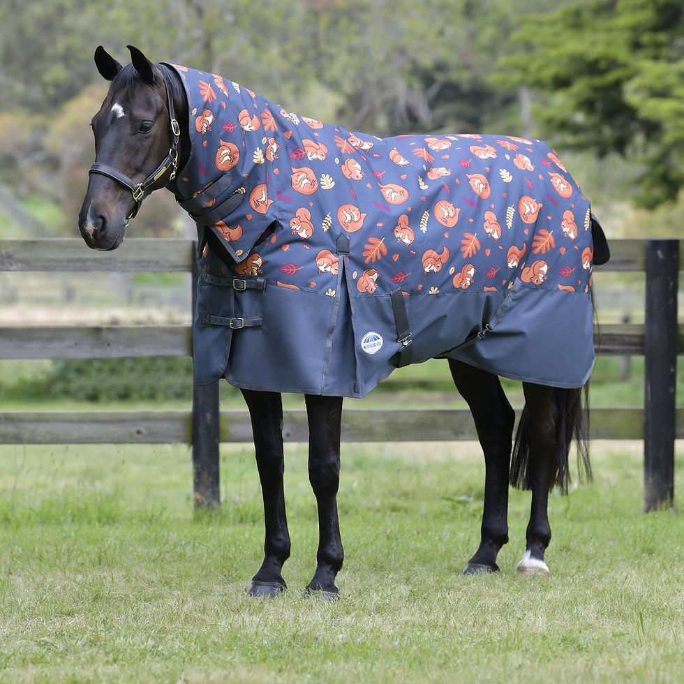 Weatherbeeta Turtle Rug Mid Season Rugs | Weatherbeeta Lite Rugs | tackshop.co.nz