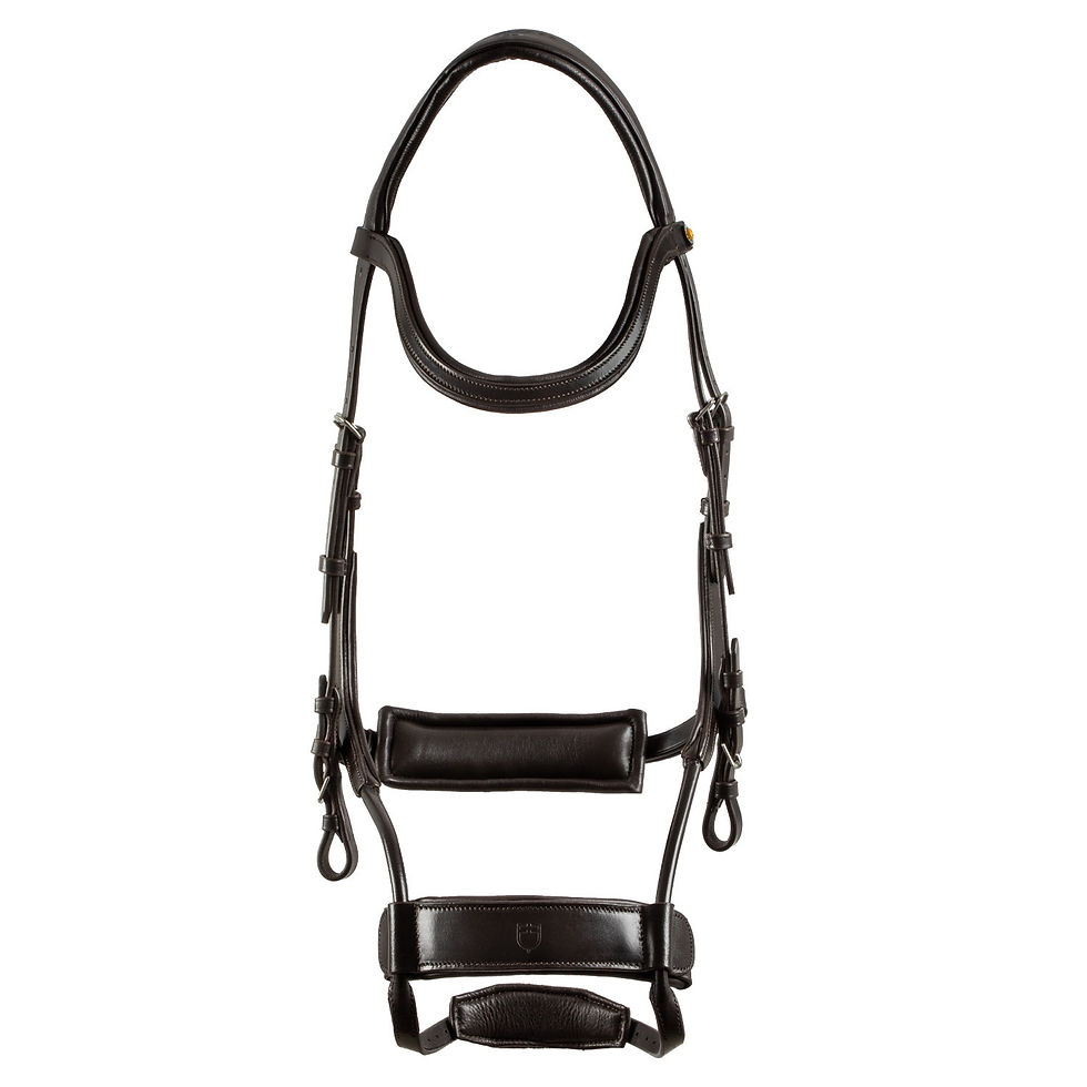 Thumbnail: Equestro Collegiate Comfitec Anatomic Leather Bridle