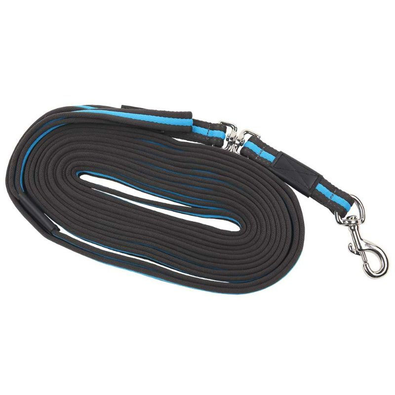 Lunging System NZ Market Harborough Horse