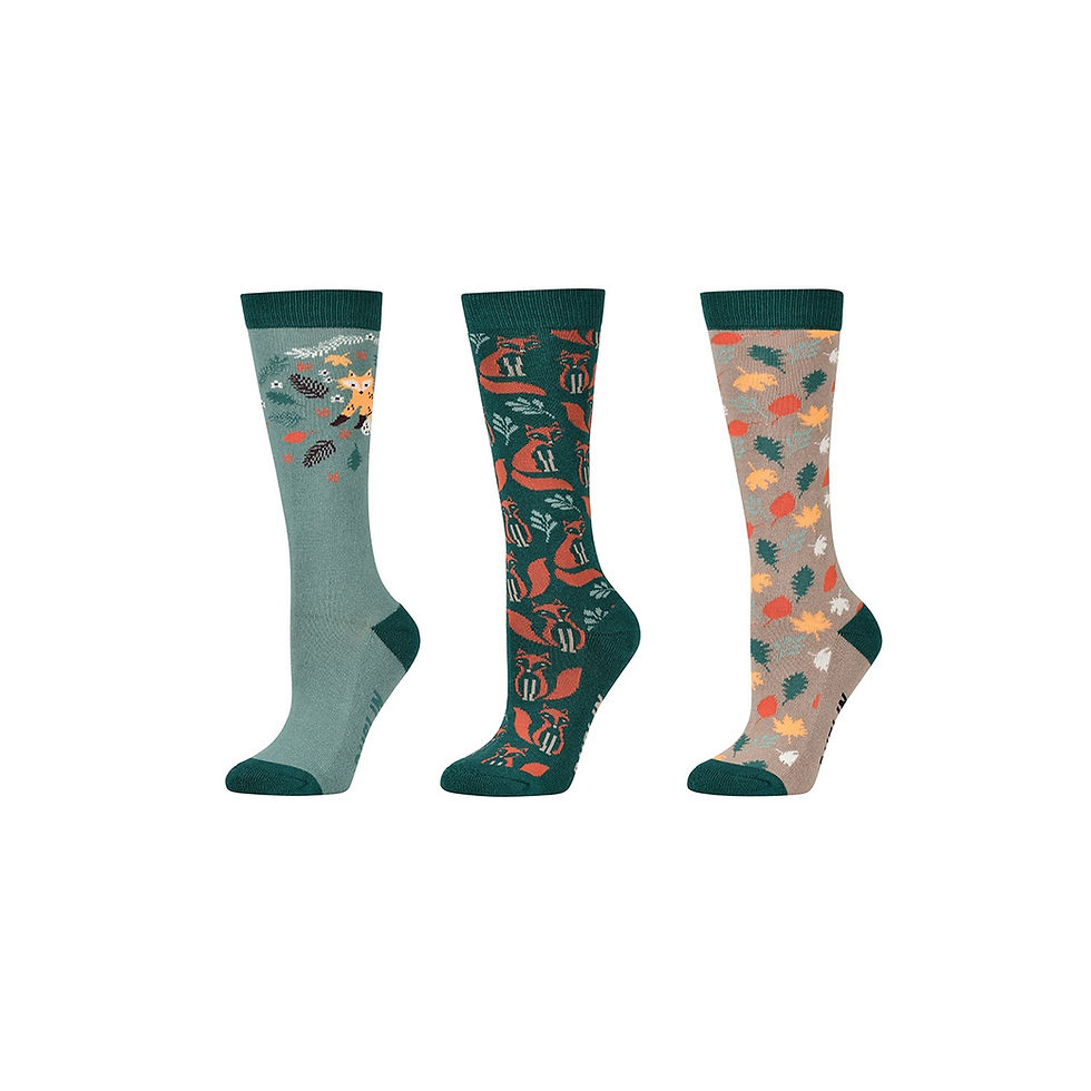 Thumbnail: Dublin 3 Pack Kids Socks 2025