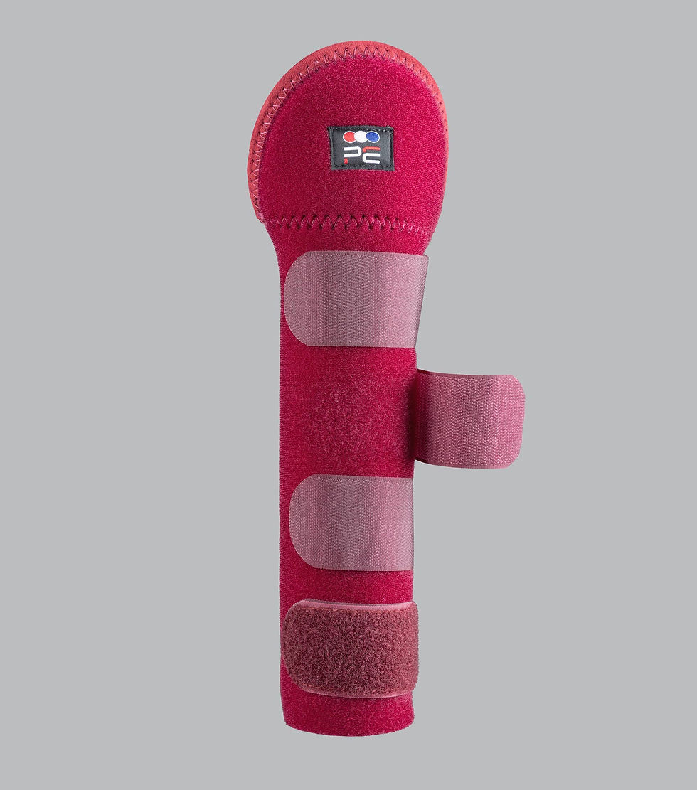Thumbnail: Premier Equine Padded Tail Guard with Tail Bag