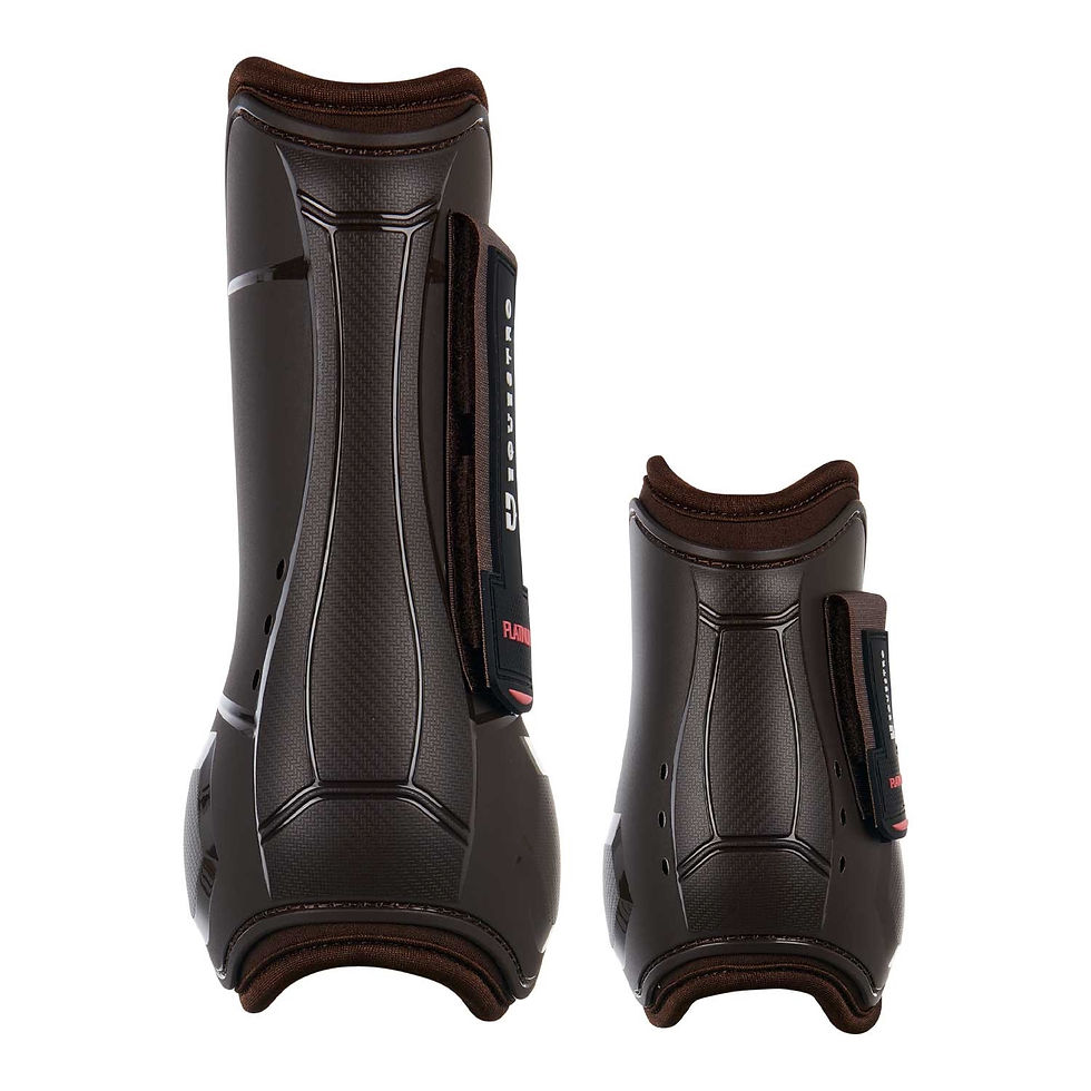Thumbnail: Equestro Tendon Boots and Closed Fetlock in TPU and Neoprene