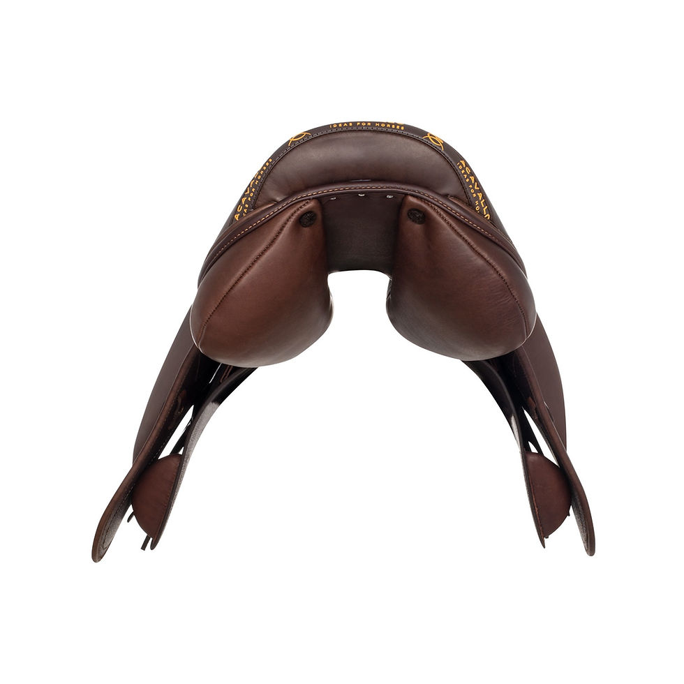 Thumbnail: Acavallo Modigliani Jumping Saddle with Wool Flocked Panels