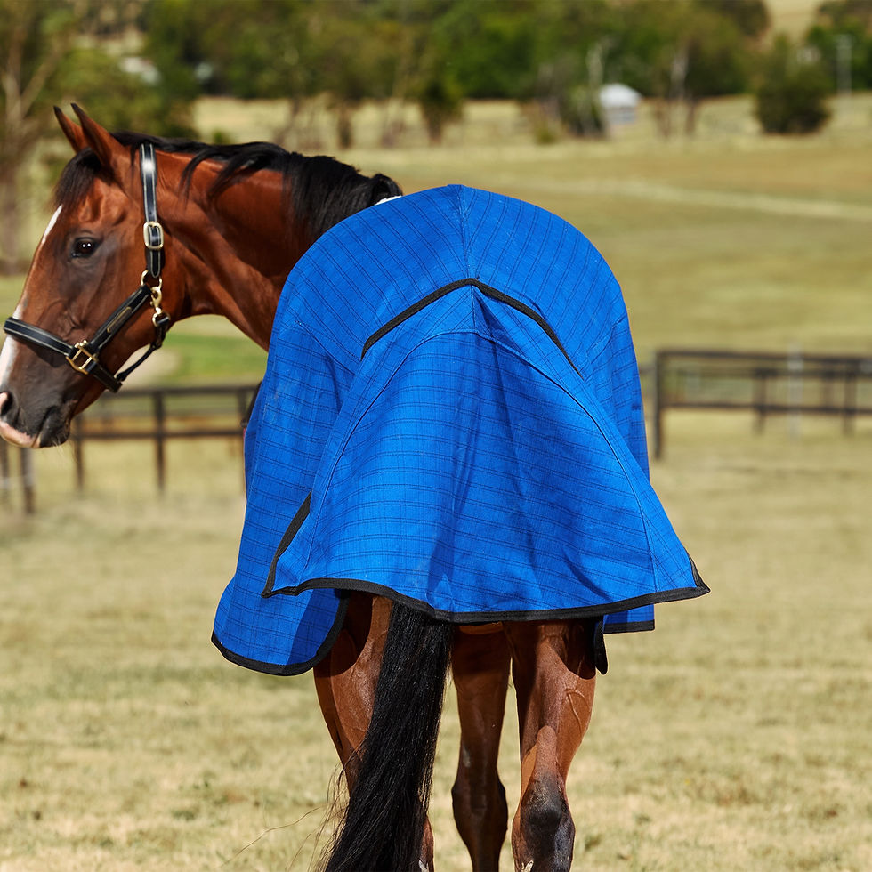 Thumbnail: Weatherbeeta Unlined Canvas Standard Neck