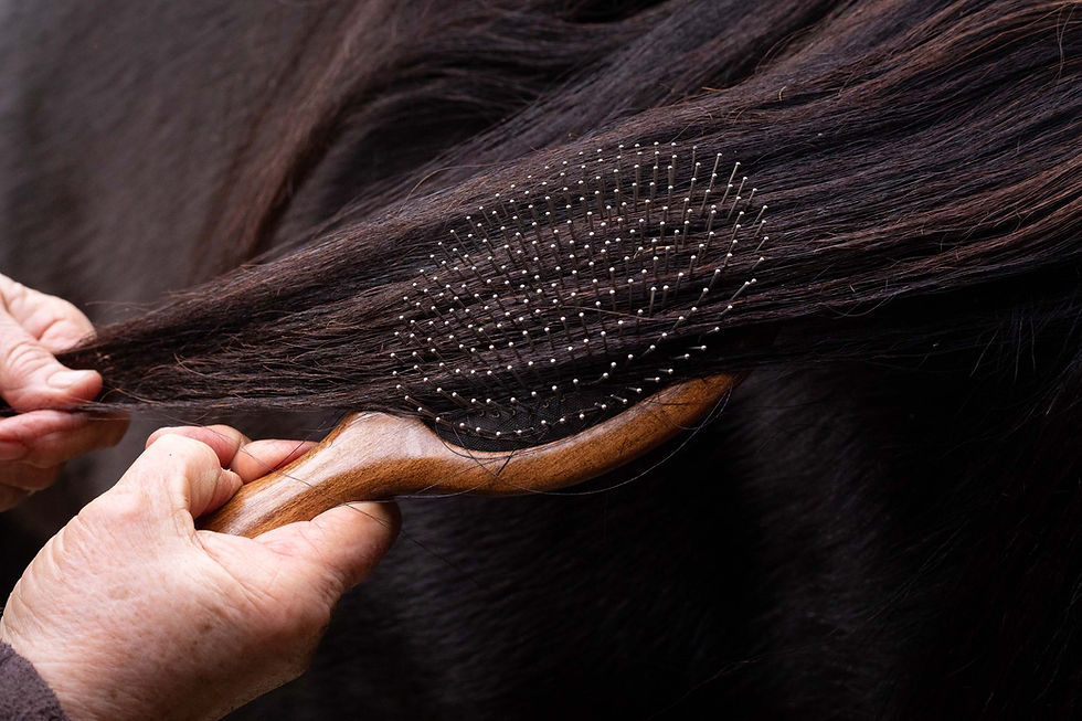 Thumbnail: Hairy Pony Mane & Tail Brush