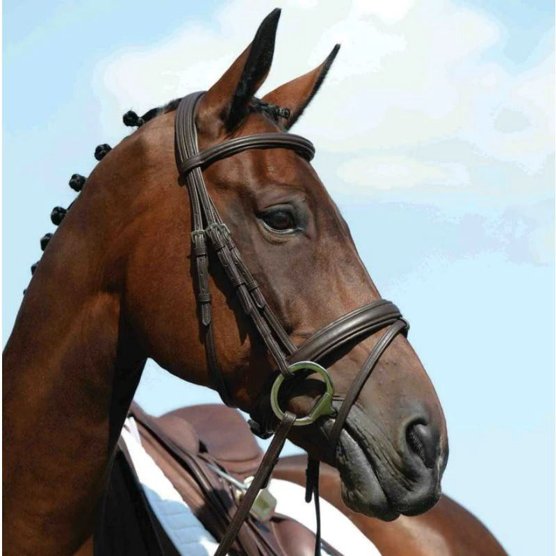 Horse Bridles NZ Hackamore Bridle Bitless Bridle