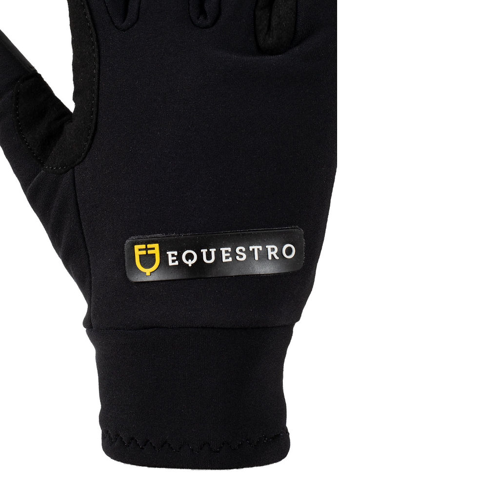 Thumbnail: Equestro Unisex Gloves in Fleece Fabric