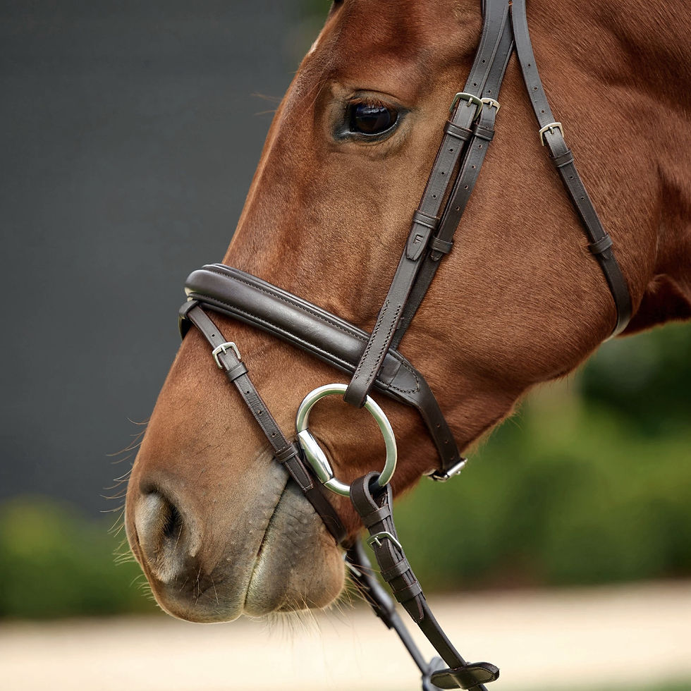 Thumbnail: Weatherbeeta Dublin Padded Flash Bridle