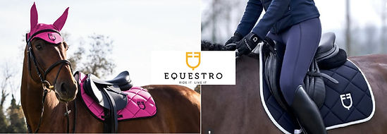 Equestro.jpg