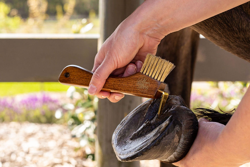 Thumbnail: Hairy Pony Copper Bristle Wooden Hoof Pick