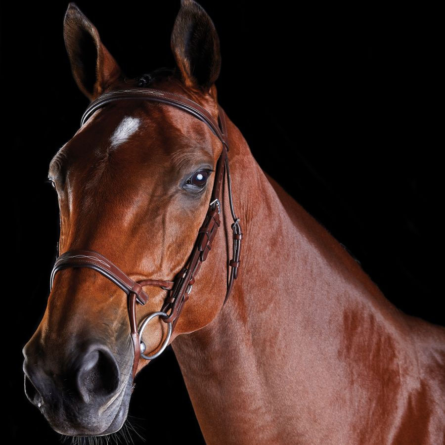 Thumbnail: Collegiate Comfitec Fancy Stitch Bridle