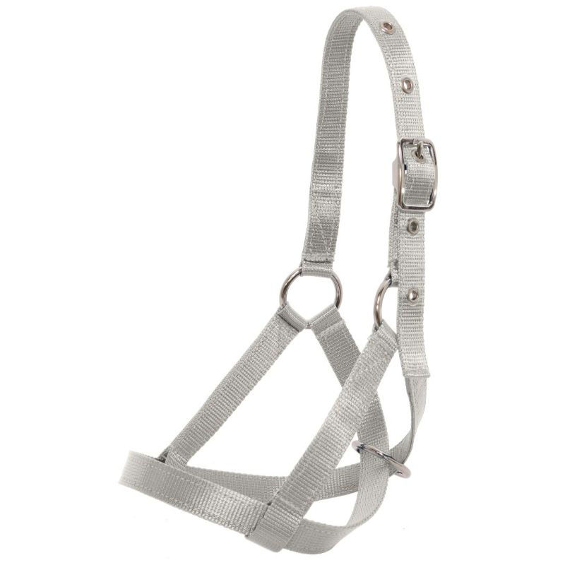 Thumbnail: Blue Tag Nylon Tethering Calf Halter