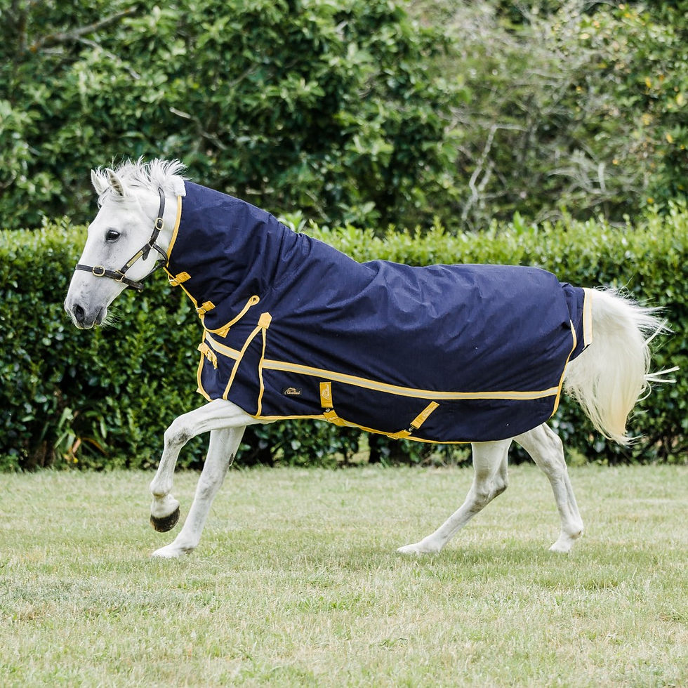 Weatherbeeta Rugs NZ Zilco Horse Rugs Winter Rugs